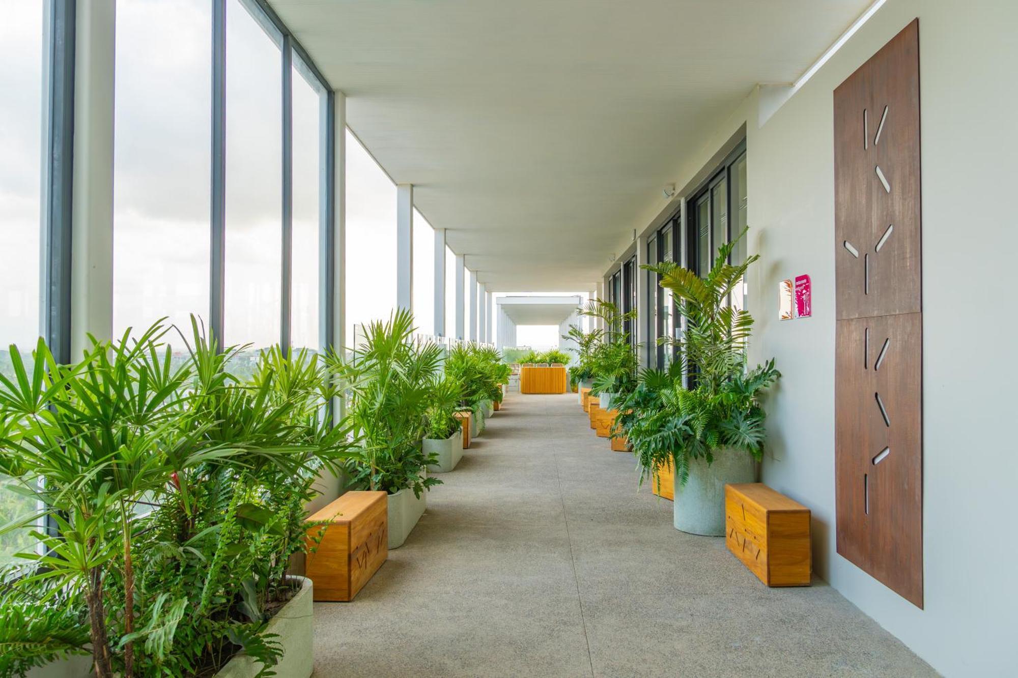 Hotel Mio Riviera Nayarit Unique & Different Adults Only นวยโวบาญาร์ตา ภายนอก รูปภาพ